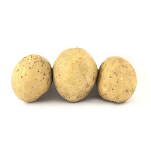 سیب-زمینی-متوسط-1