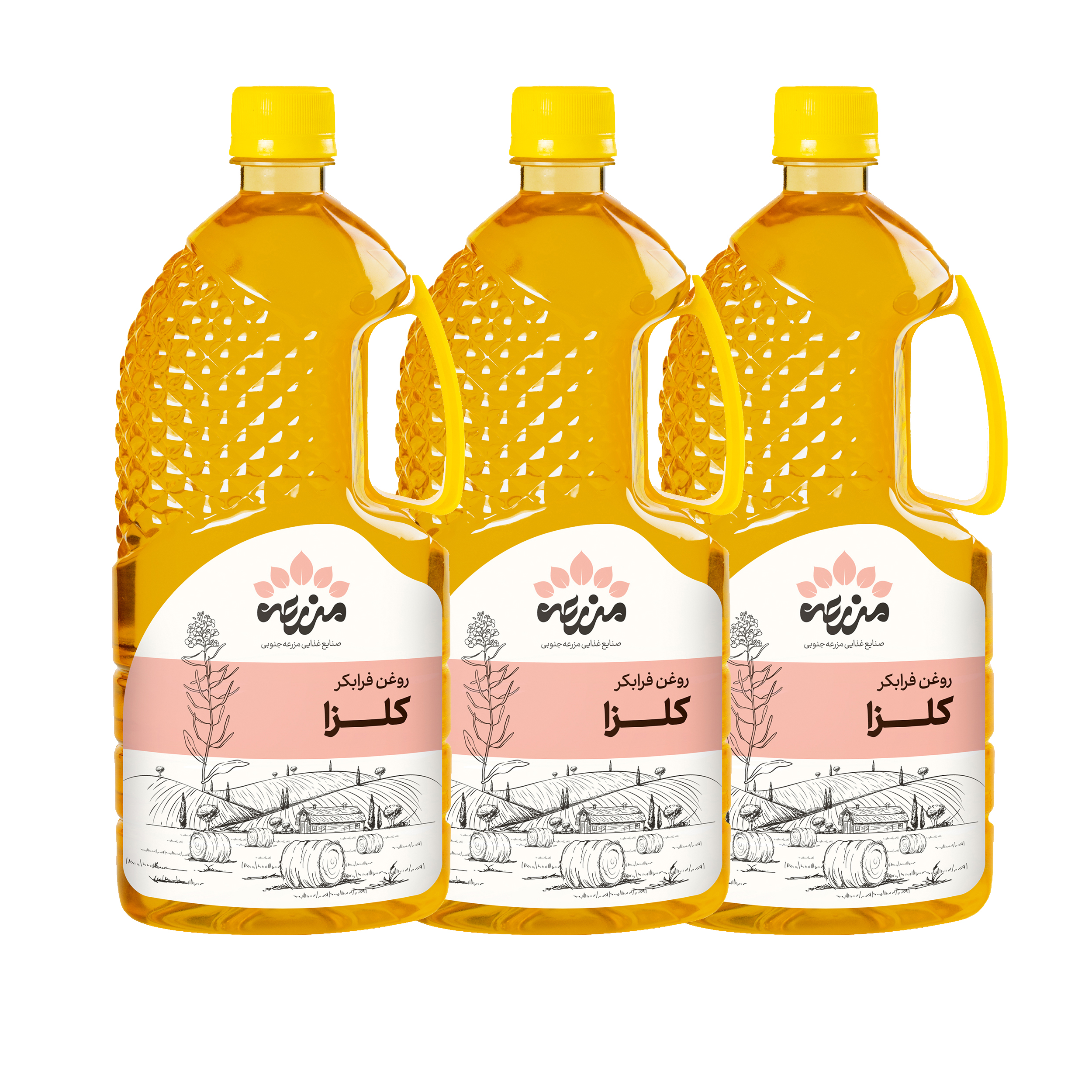 روغن کلزا فرابکر مزرعه جنوبی - 1 لیتر بسته 3 عددی روغن کلزا فرابکر مزرعه جنوبی - 1 لیتر بسته 3 عددی