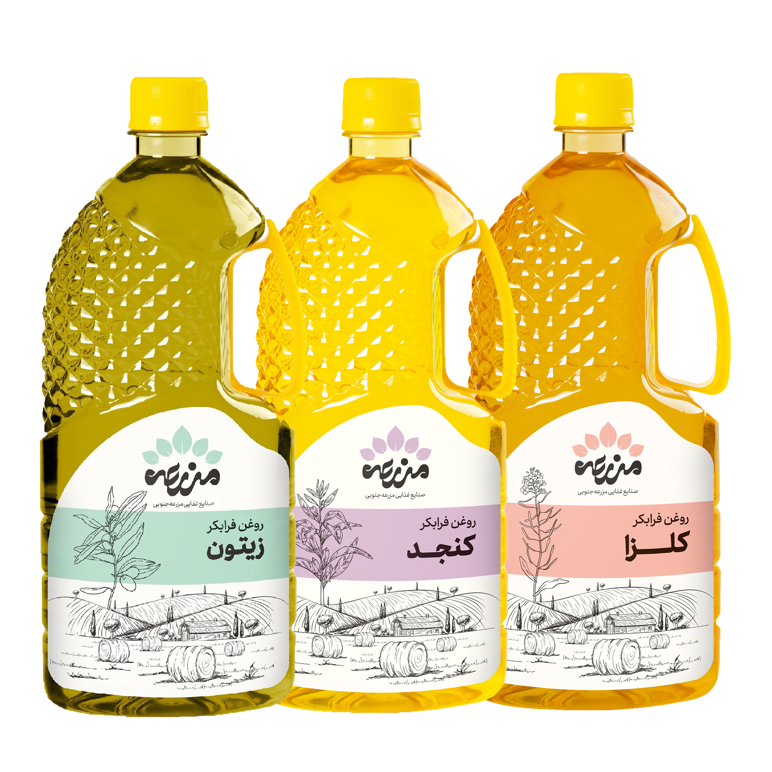 روغن زیتون فرابکر و روغن کنجد فرابکر و روغن کلزا فرابکر مزرعه جنوبی - 1 لیتر مجموعه 3 عددی روغن زیتون فرابکر و روغن کنجد فرابکر و روغن کلزا فرابکر مزرعه جنوبی - 1 لیتر مجموعه 3 عددی