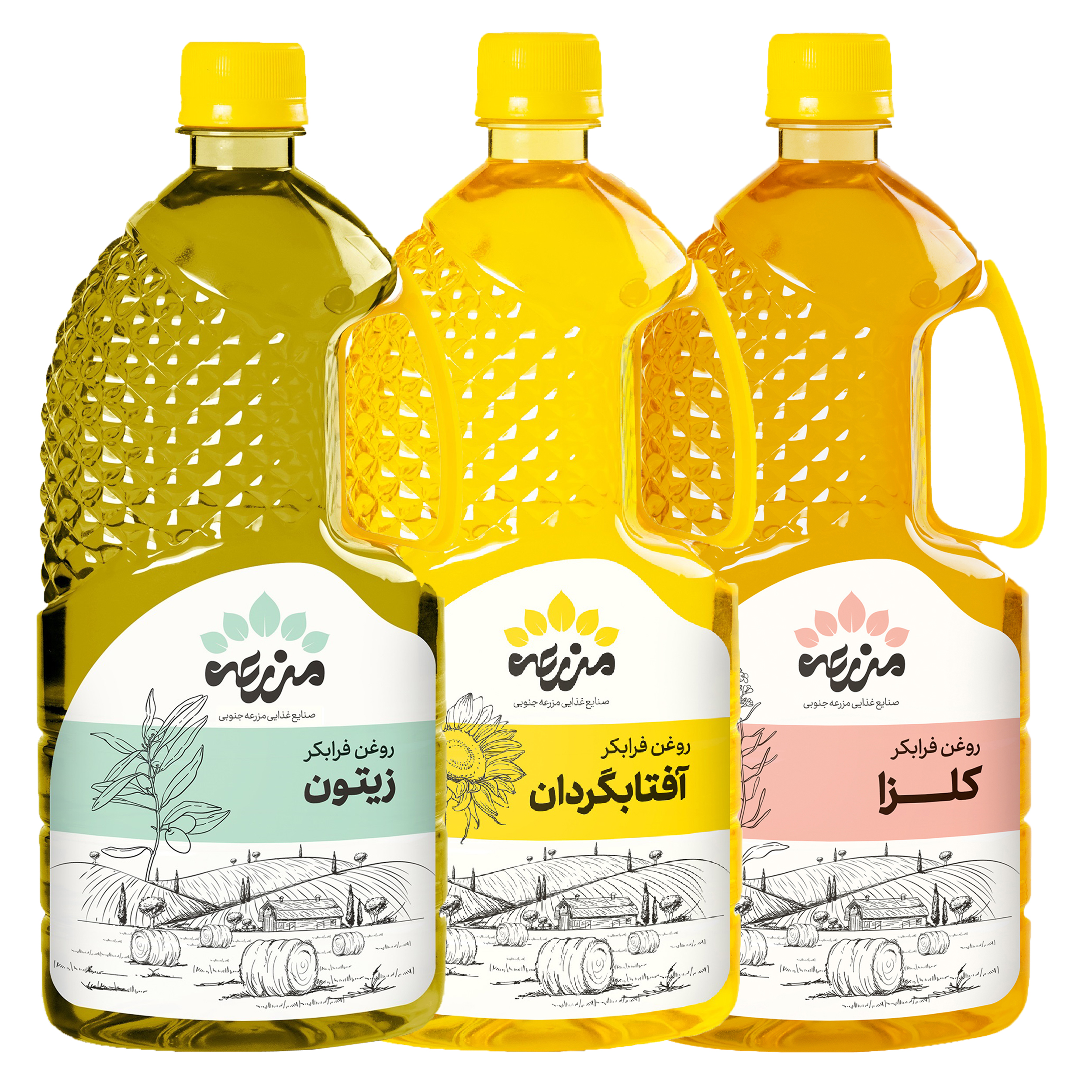 روغن زیتون فرابکر و روغن آفتابگردان فرابکر و روغن کلزا فرابکر مزرعه جنوبی - 1 لیتر بسته سه عددی روغن زیتون فرابکر و روغن آفتابگردان فرابکر و روغن کلزا فرابکر مزرعه جنوبی - 1 لیتر بسته سه عددی