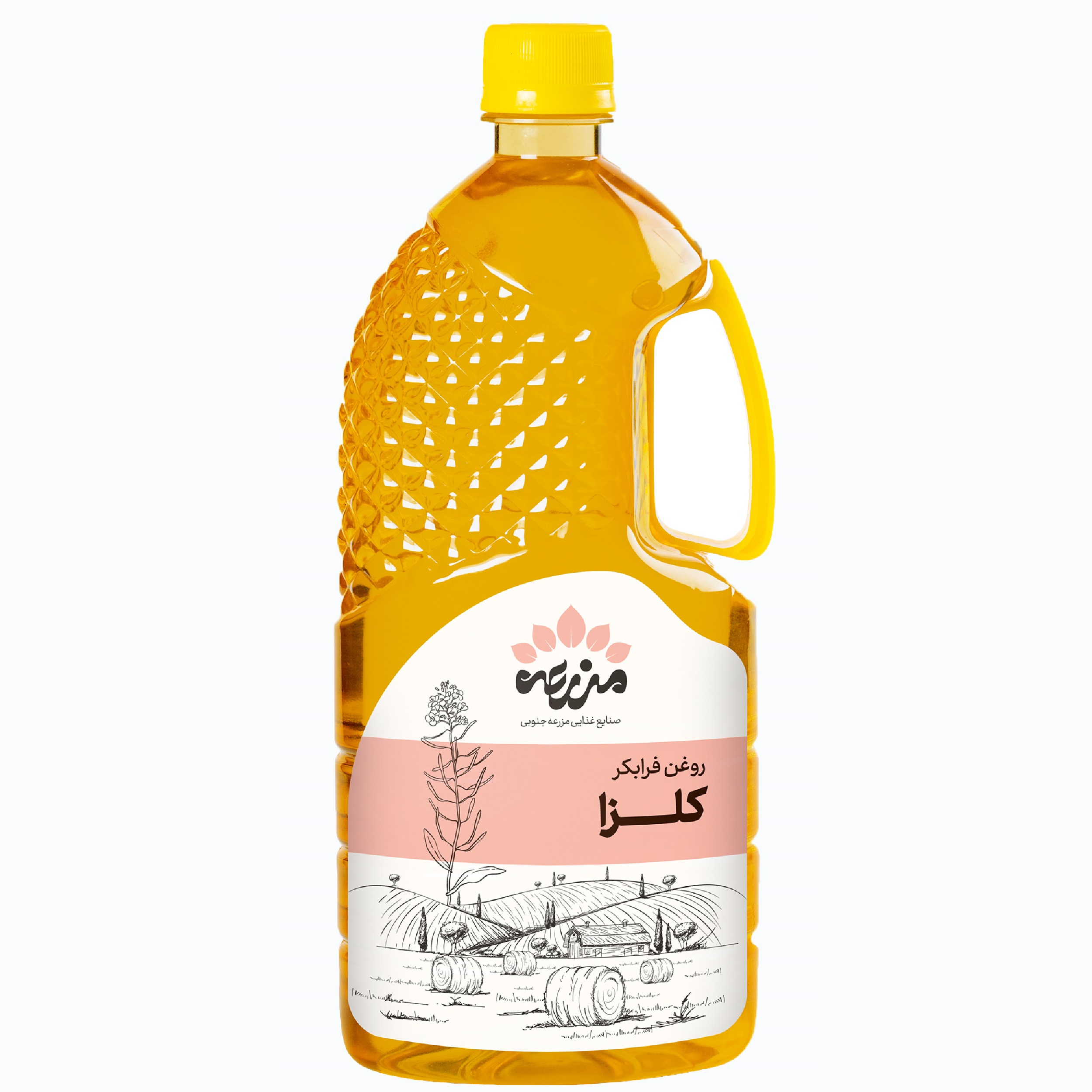 روغن کلزا فرابکر مزرعه جنوبی - 500 میلی لیتر روغن کلزا فرابکر مزرعه جنوبی - 500 میلی لیتر